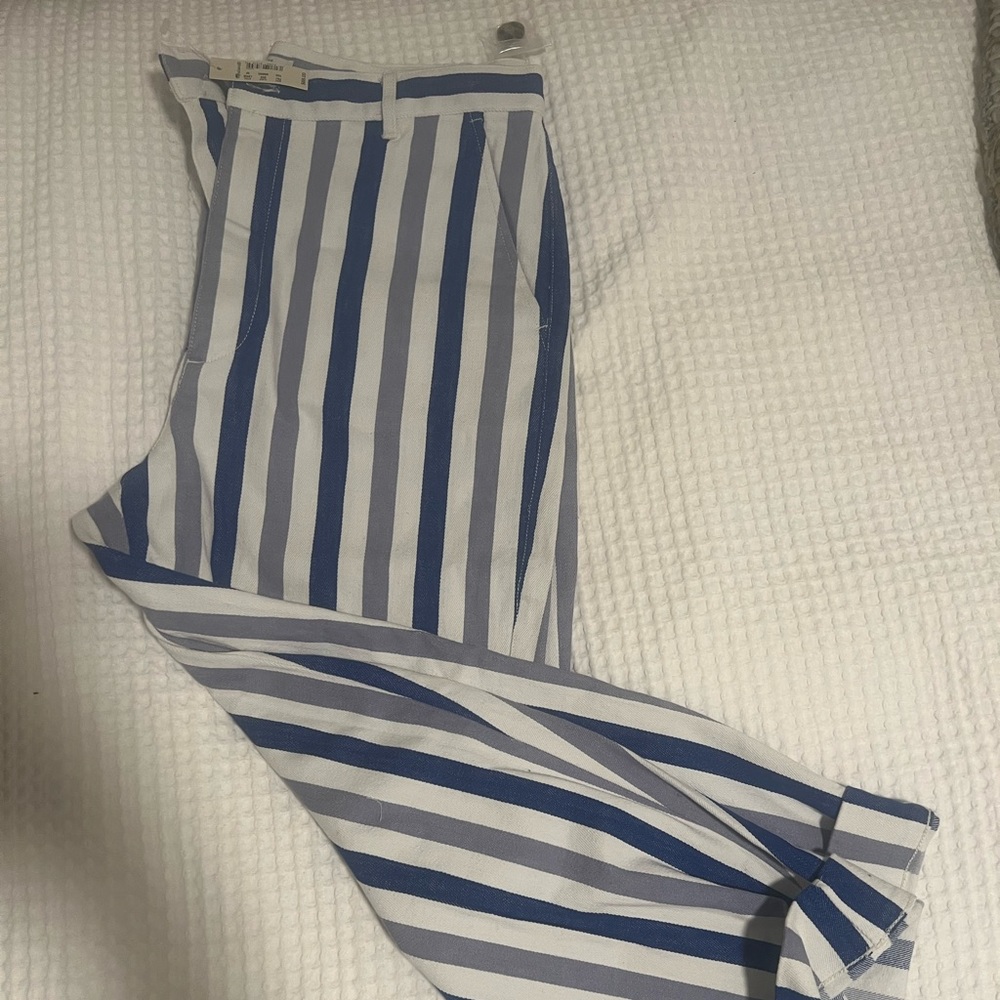 Striped Madewell Pants